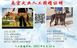 尼克斯X保罗佳丽 BLJK1，941000225080566.jpg