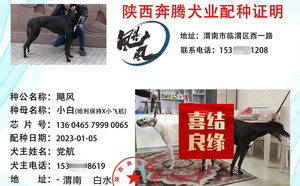 飓风X小白 136046579990065.jpg