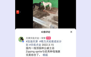 威士忌雪碧X海豚 900250000179411.jpg