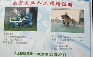 飞鱼X菲特 Anywhere Anytime，956000008462570，B05V.jpg