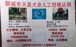 阿斯顿吉甘特X大飞燕900215005131418.jpg