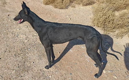 八百 900022050091970