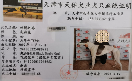 丝绸之路 ty594,941000225080971 - 格力犬yy--格力犬中英文血统查询