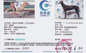 卡尼亚游轮X十二万 941000225081212.jpg