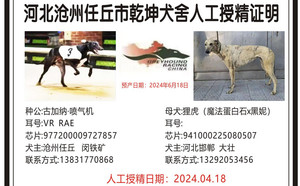 古加纳喷气机X狸虎 941000225080507.jpg