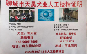 喷射X灰狸子 DBZL1，900201709632365.jpg