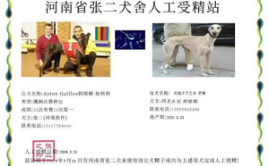 阿斯顿加利利X芒果 941000225080126.jpg