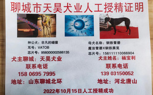 非凡的碰撞X钢铁雪碧 156111110066904.jpg