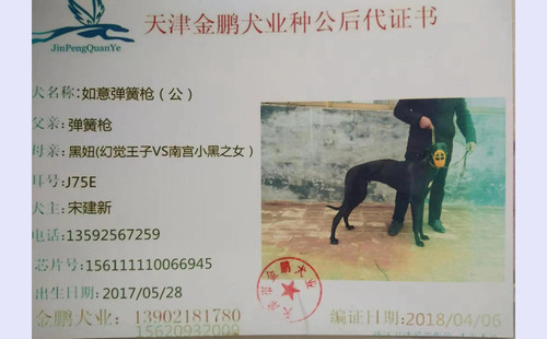 如意弹簧枪 156111110066945，J75E ！