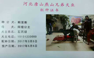 鲍里斯X辉煌公主 900250000352198.jpg