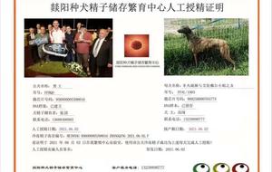 黑王X虎妞 900250000765773，FFAL1905.jpg