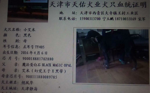 小艾米 TY405，900018881702880