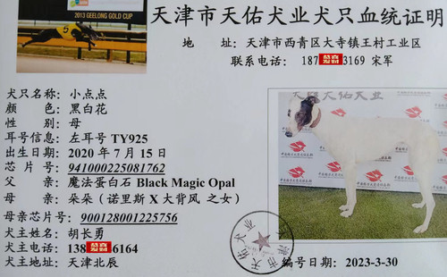 小点点 941000225081762，TY925