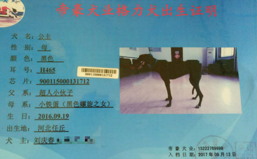 公主 H465，900115000131712