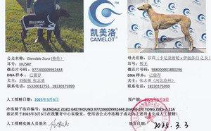 格伦X莎莉988000001880296.jpg