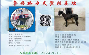 突击队员X黑色魔鬼900023069145791.jpg