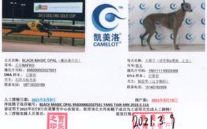 魔法蛋白石X大狸子 156111110029369.jpg