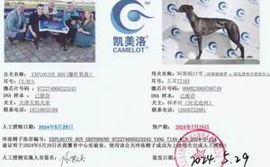 爆炸男孩X阿斯顿白雪 900023069708749，T716Y.jpg