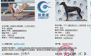 卡尼亚游轮X静海刘振强的芊芊988000001880077（2024年11月2日配）.jpg