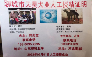 喷射X黑马 900215003567600.jpg