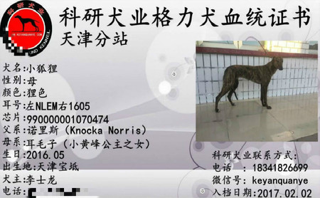 小狐狸 990000001070474，NLEM1605