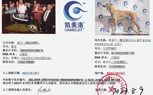 黑王X黄金叶 941000225081794，TY971.jpg
