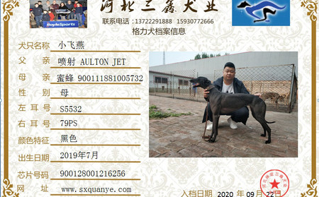 小飞燕 900128001216256，S553279PS