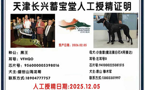 黑王X小鱼雷 941000225081515.jpg