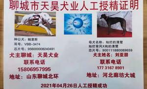 鲍里斯X灿烂的清楚 BFQC 104H，900111880089659.jpg