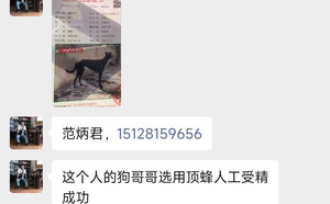 顶蜂X独眼8号 156111110088718，NGXH516BA.jpg