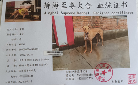 皇冠 990000006148013