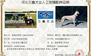 奇怪的男孩X黄龙石 DBAN2，900018881702757.jpg