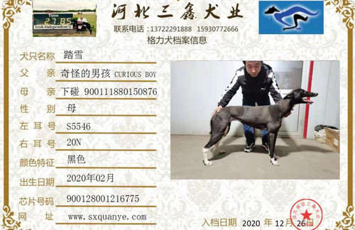 踏雪 900128001216775，S554620N