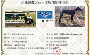 奇怪的男孩X黑妮 900215001626874，J611C.jpg