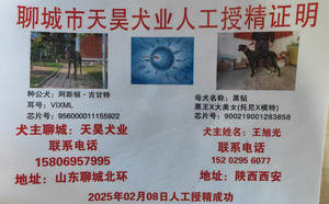 阿斯顿吉甘特X黑钻 900219001283858.jpg