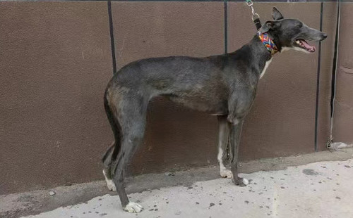 灰姑娘 990022092023426