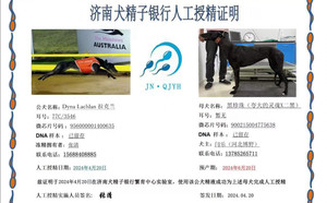 拉克兰X黑珍珠 900215004775638.jpg