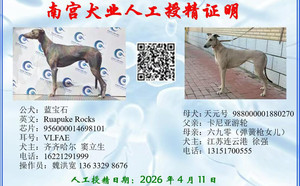 蓝宝石X天元号 988000001880270.jpg