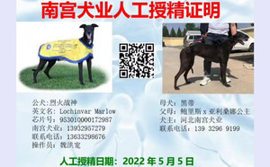 烈火战神X黑带 156111110096135，900115001743570，NGXH716BA.jpg