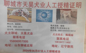 鲍里斯X快快 900155000018012.jpg