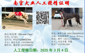 哈瓦那X保罗小妹 900252003094292.jpg