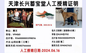 黑王X艾里斯 900250000499378，NLXH1702.jpg
