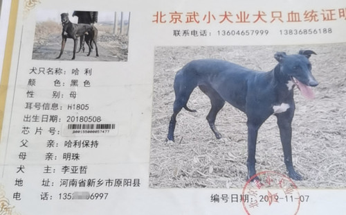 哈利 900155000057477，H1805