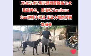 魔法枪X黑妞 900250000445058，GAOD.jpg
