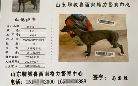 超音波 900023069145903，CYS5