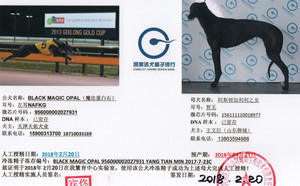 魔法蛋白石X九七七156111110018977.jpg