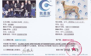 杜克X金母 156111110094320，J87C.jpg