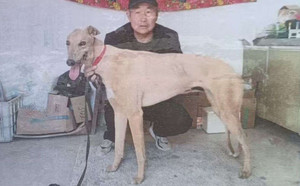 阿斯顿金莎900263001575066，0013Y.jpg