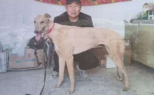 阿斯顿金莎 900263001575066，0013Y
