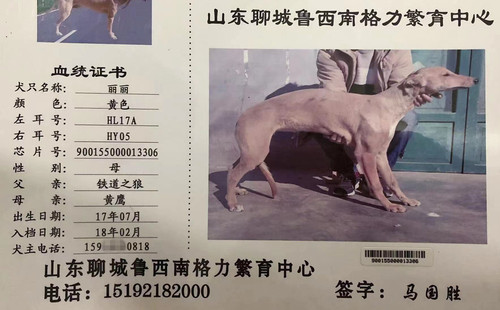 丽丽 900155000013306，HL17AHY05